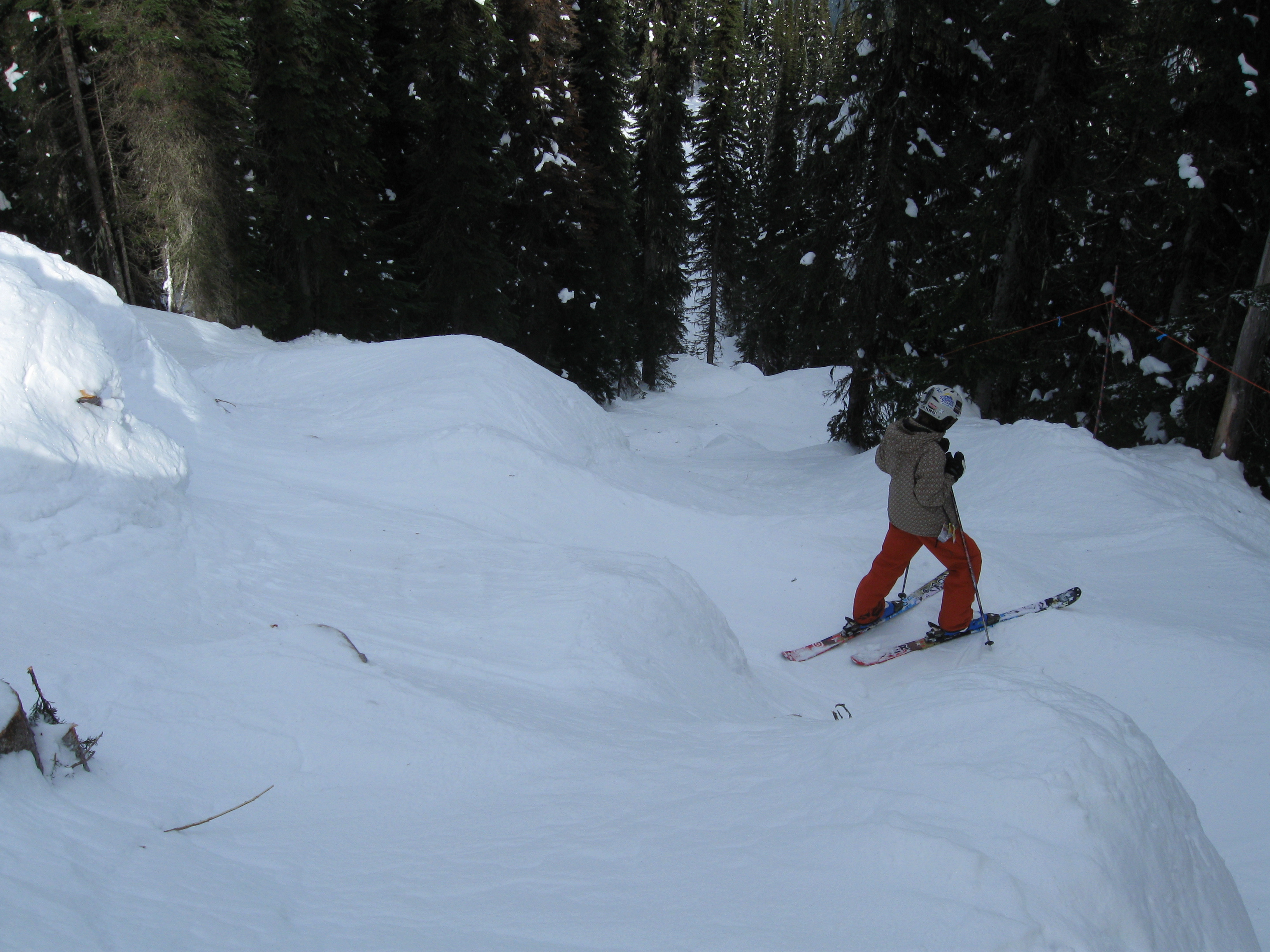 The trail leaving the backside of revelstoke