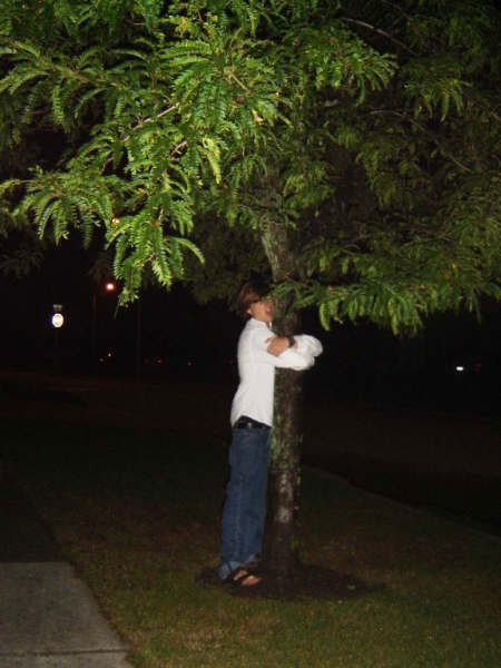 the tree was "tipping over"