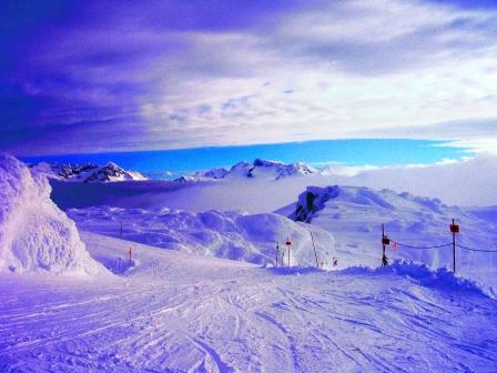 The World We live in