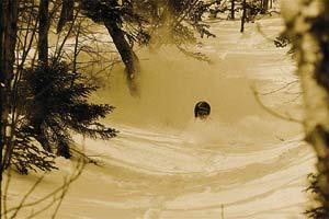 There is no powder in the east. Neck deep in NH.