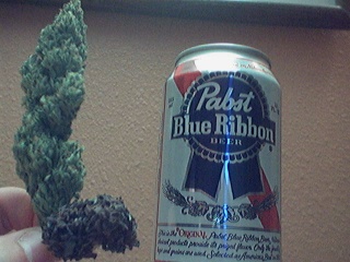 Theres Some Gangsta Shit Fo Yo Kiddies