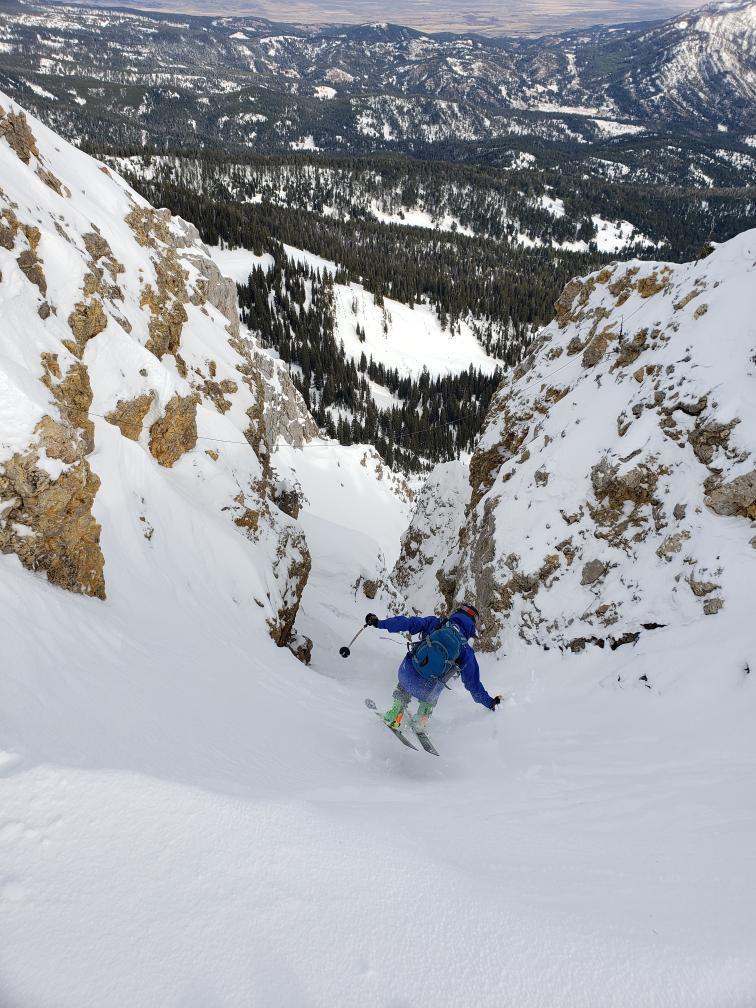 Things are filling in nicely here