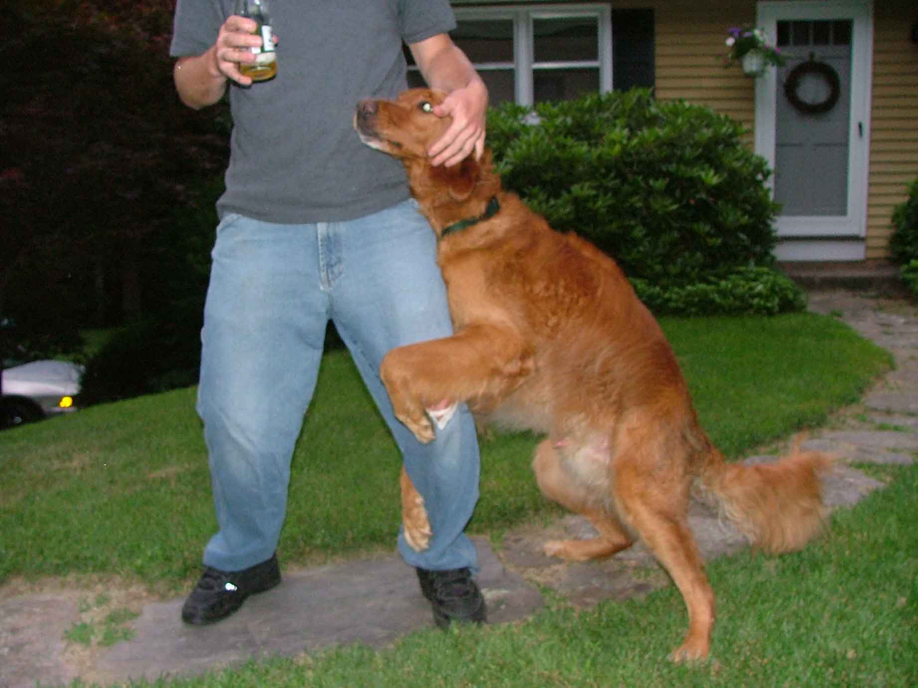 third base, maybe a home run...