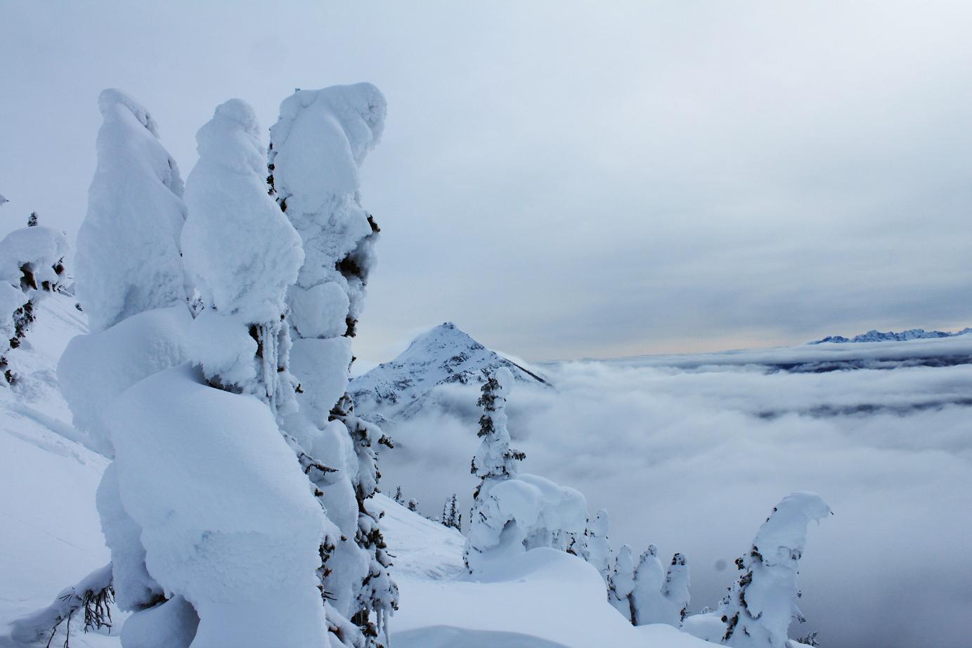 This is how every day should look like