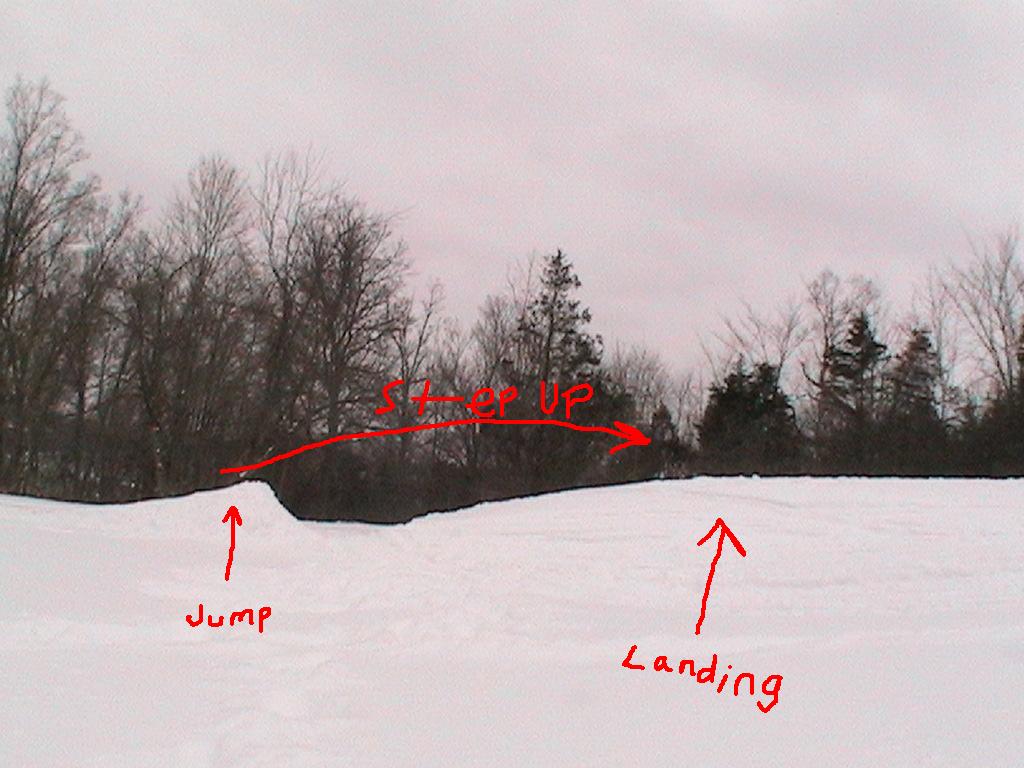 This is our sick backyard setup