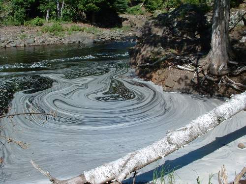 This is the last one, I promise.