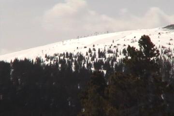 This is the top of Mary Jane