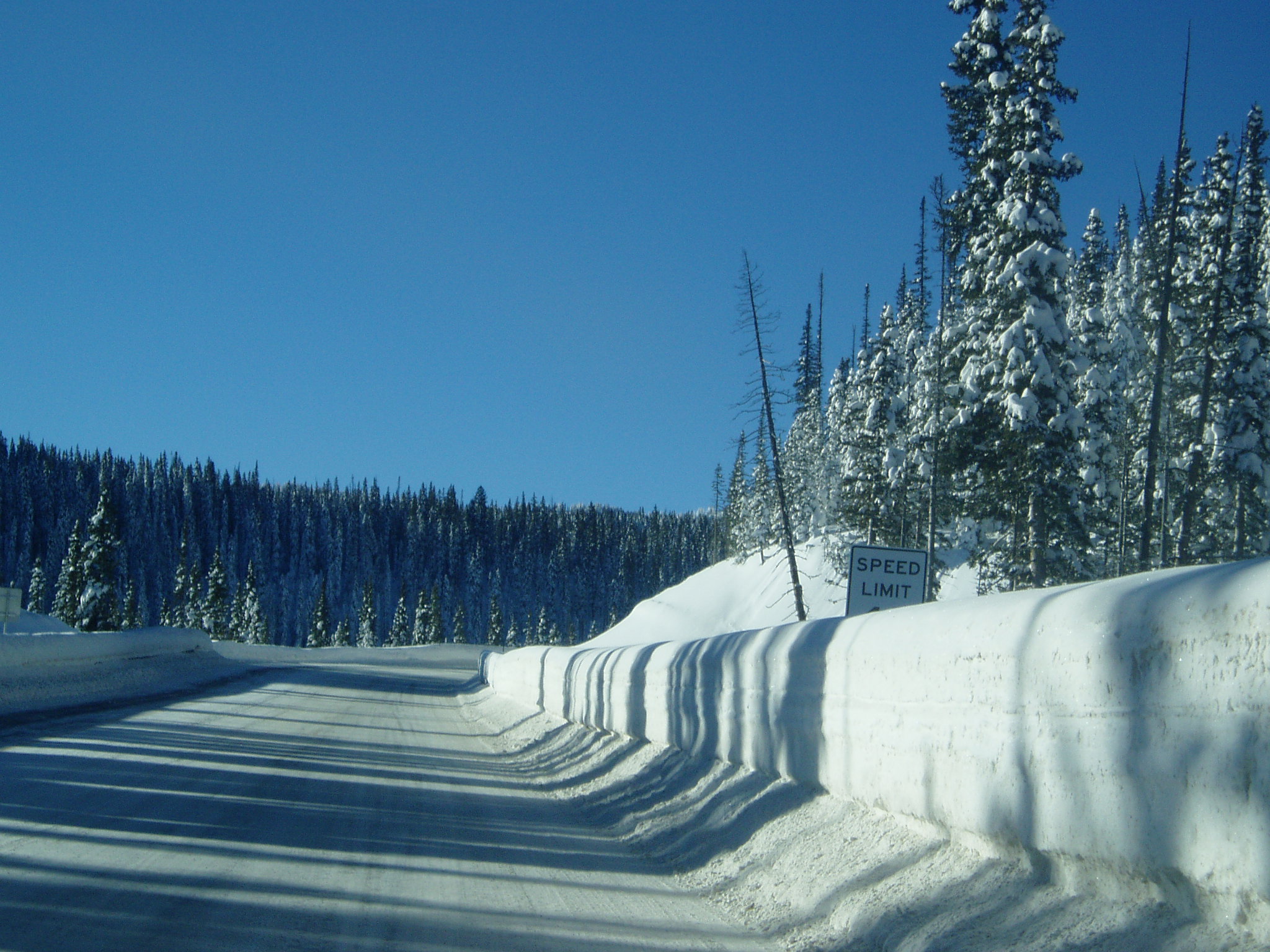 This is what came of the storm that hit wolf creek