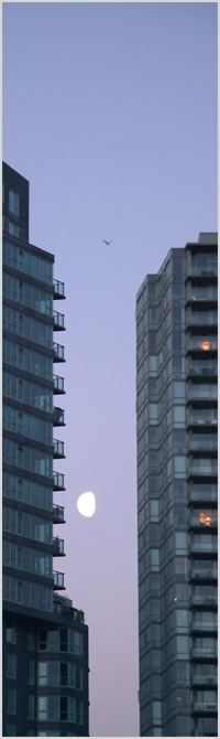 Thisnthat from that one time