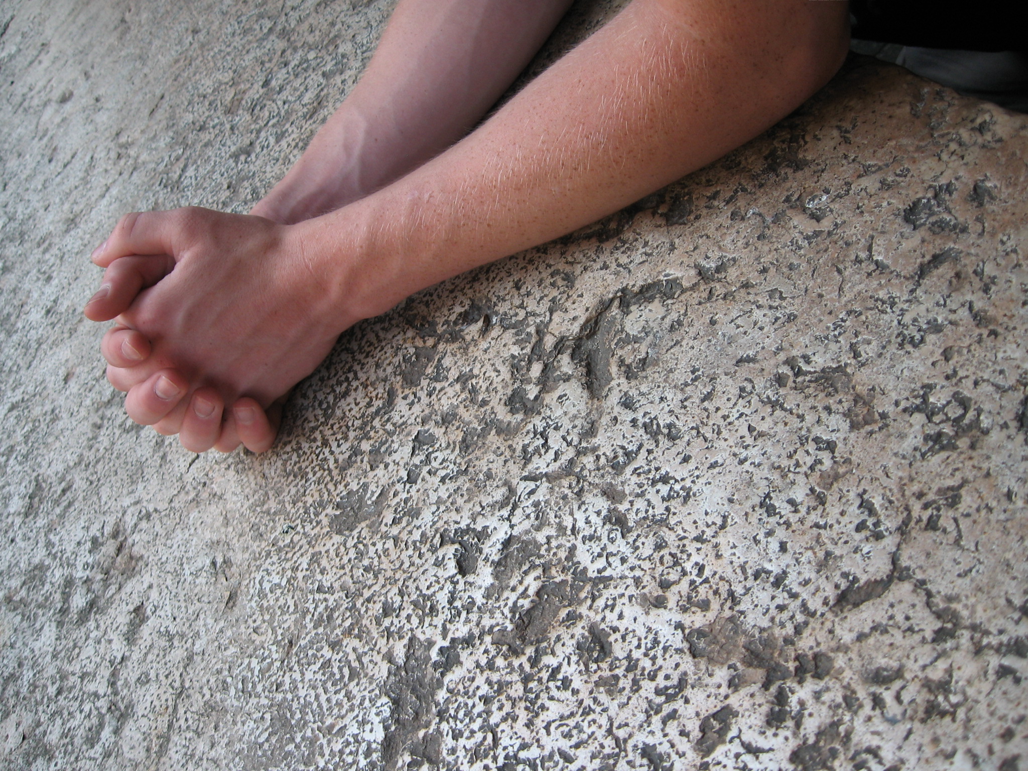 Thought it looked interesting