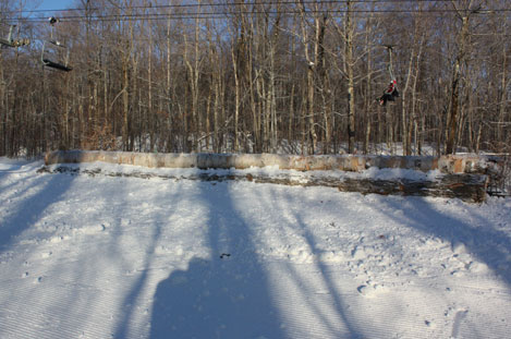 Three Tree Trunk Jib