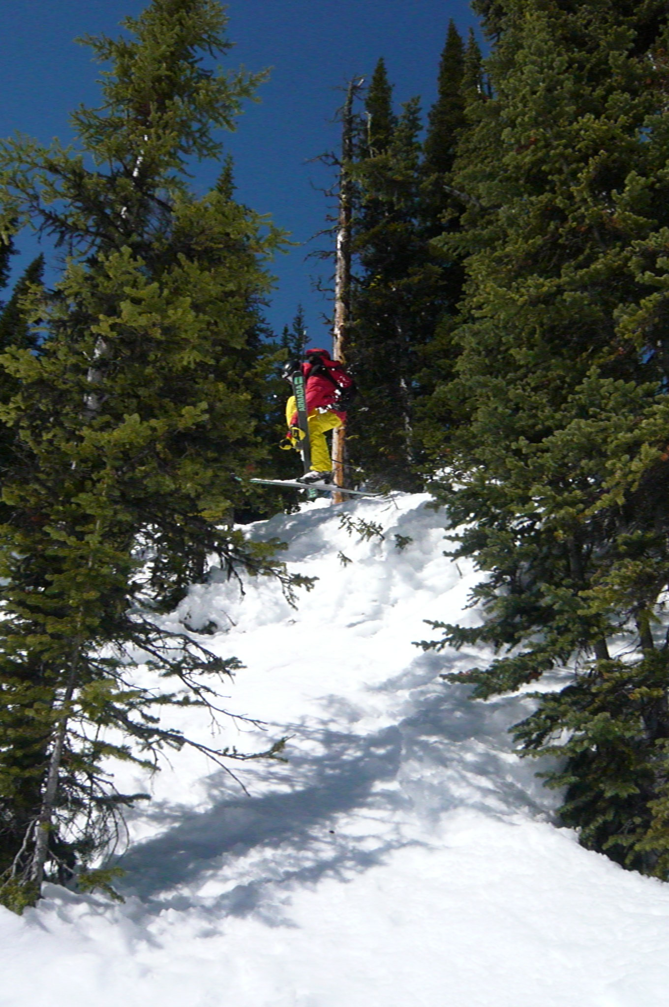 Through the trees - 1 of 2