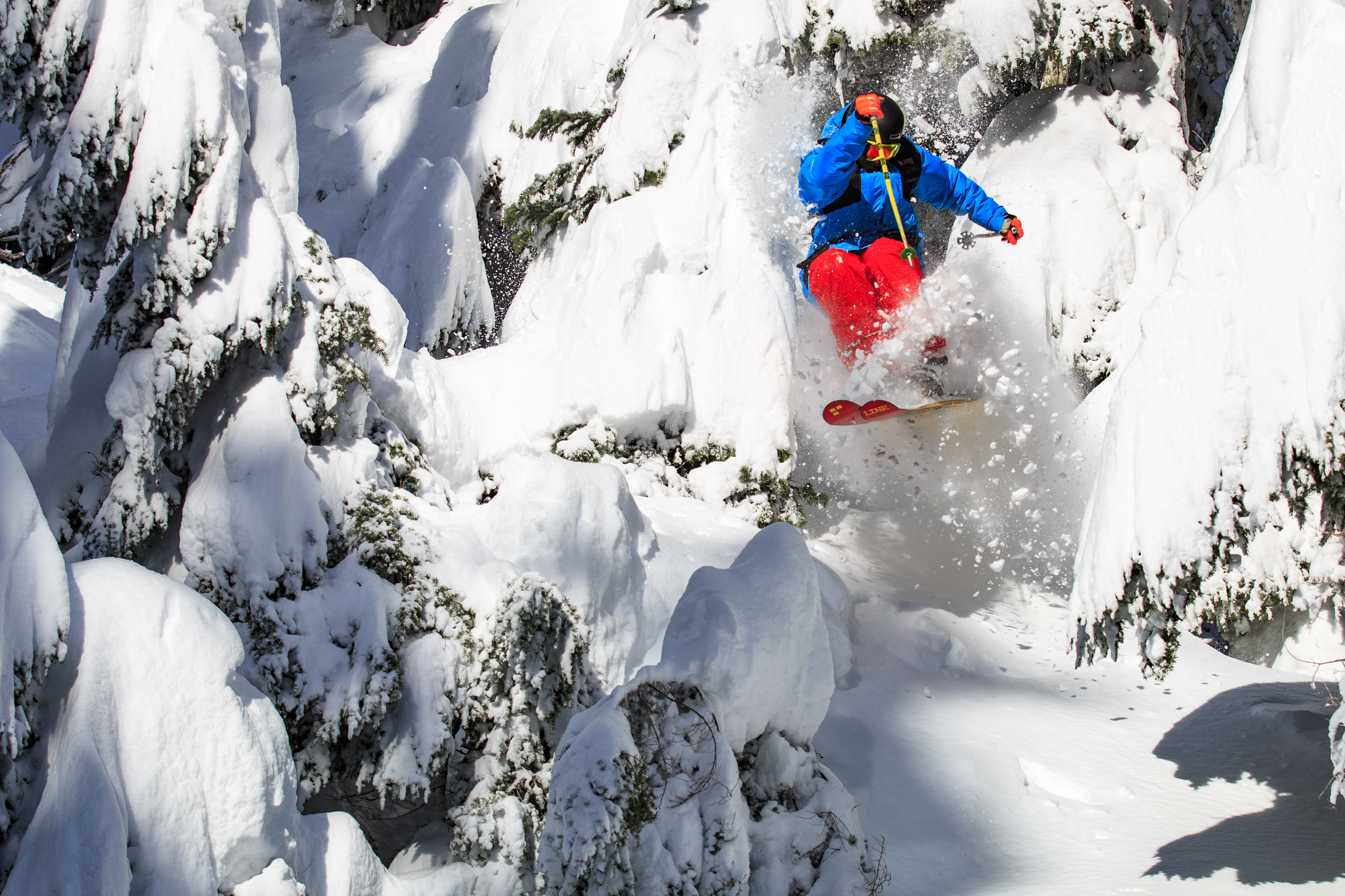 Through the Trees Sendin