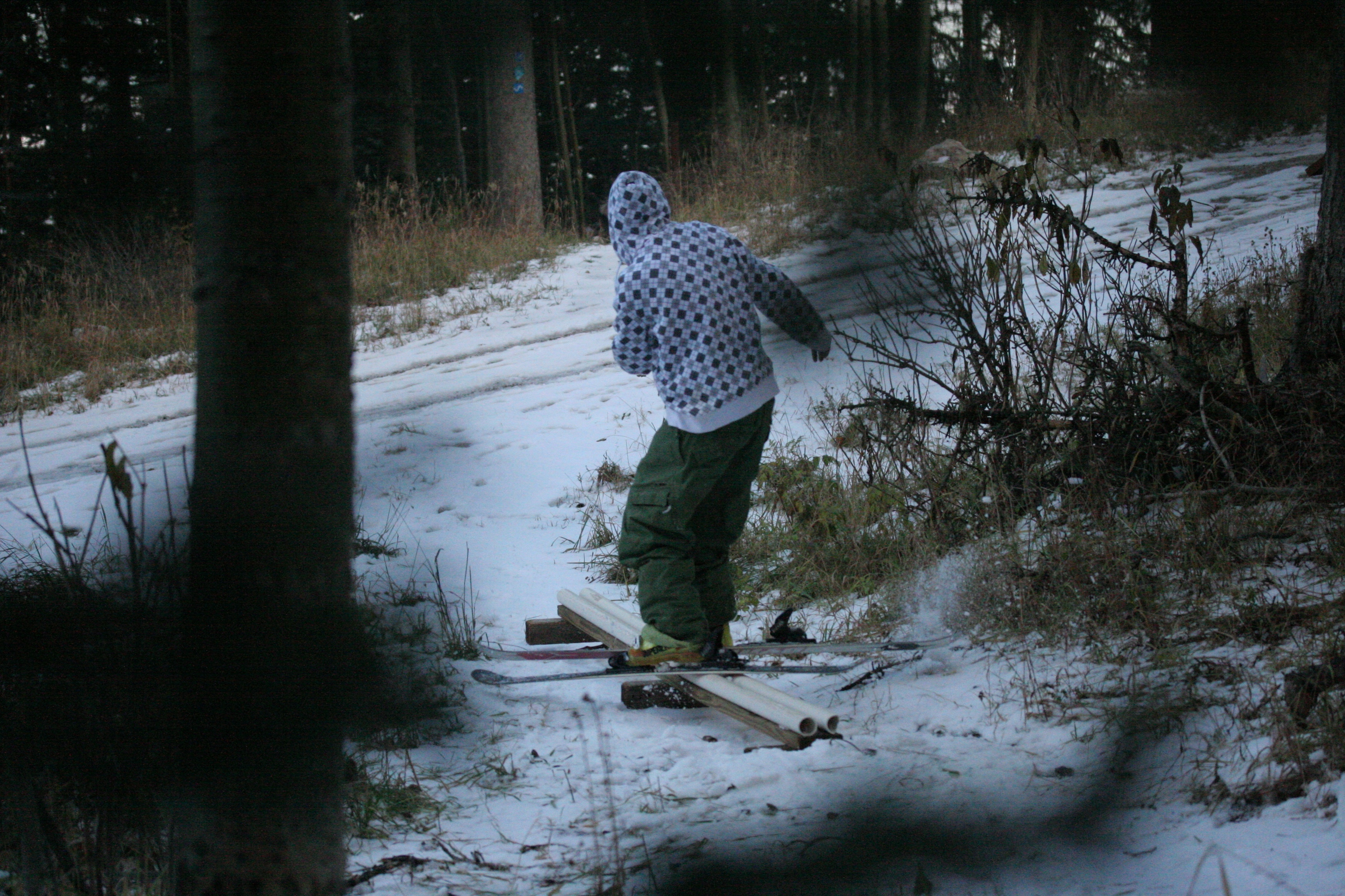 Through the trees...