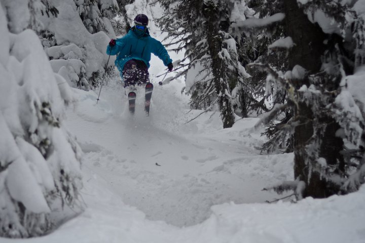 Through the Treez
