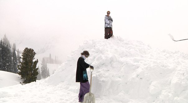 Tim and Wilson Chads