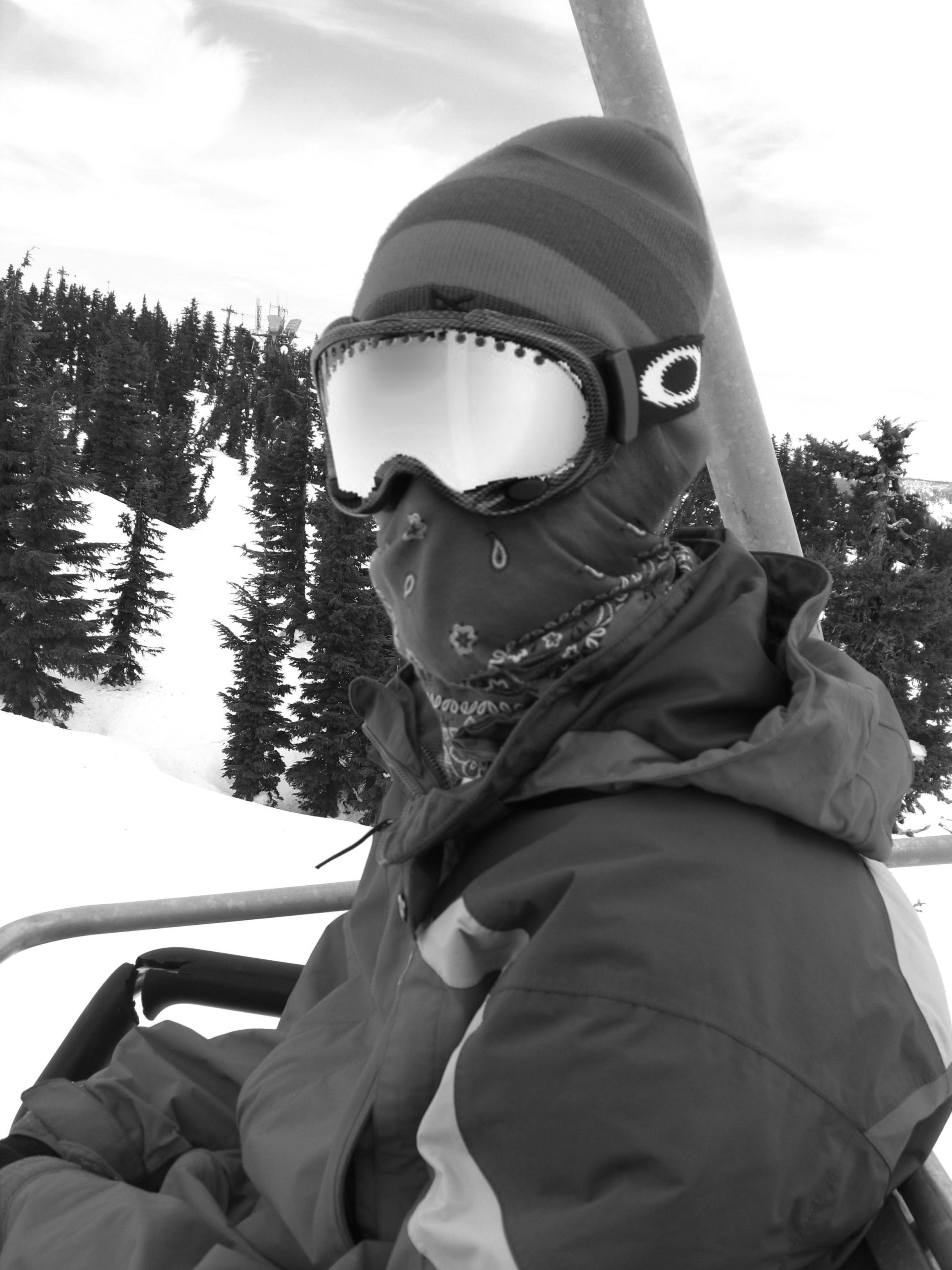 Timberline 2.19.08