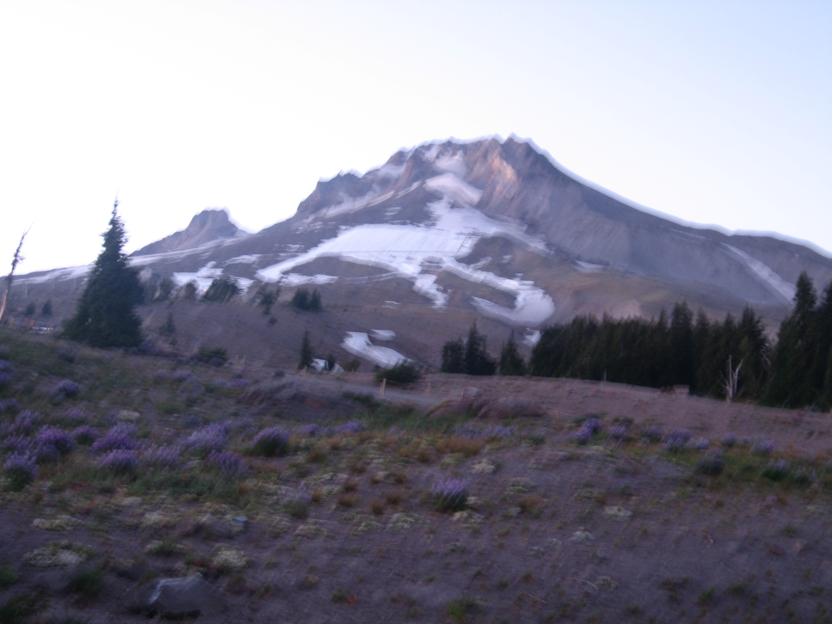 Timberline