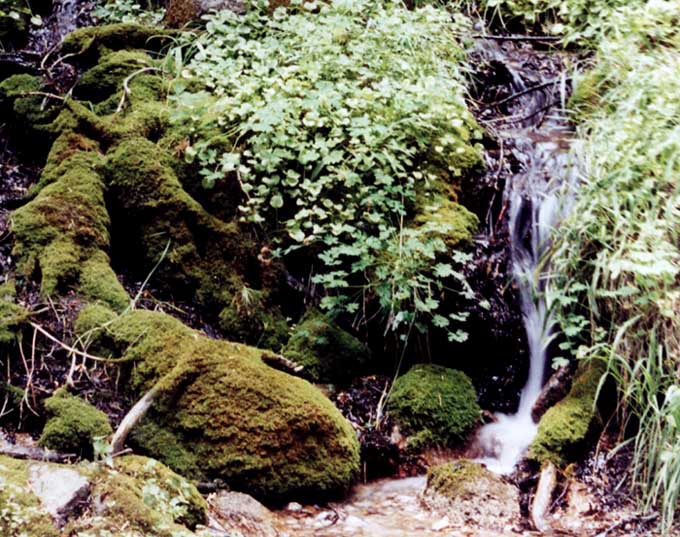 Time lapse in my favorite place on earth