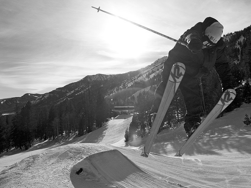 Timzilla 3 (almost) nose