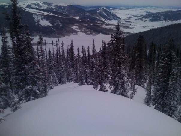 To poach or not to poach?