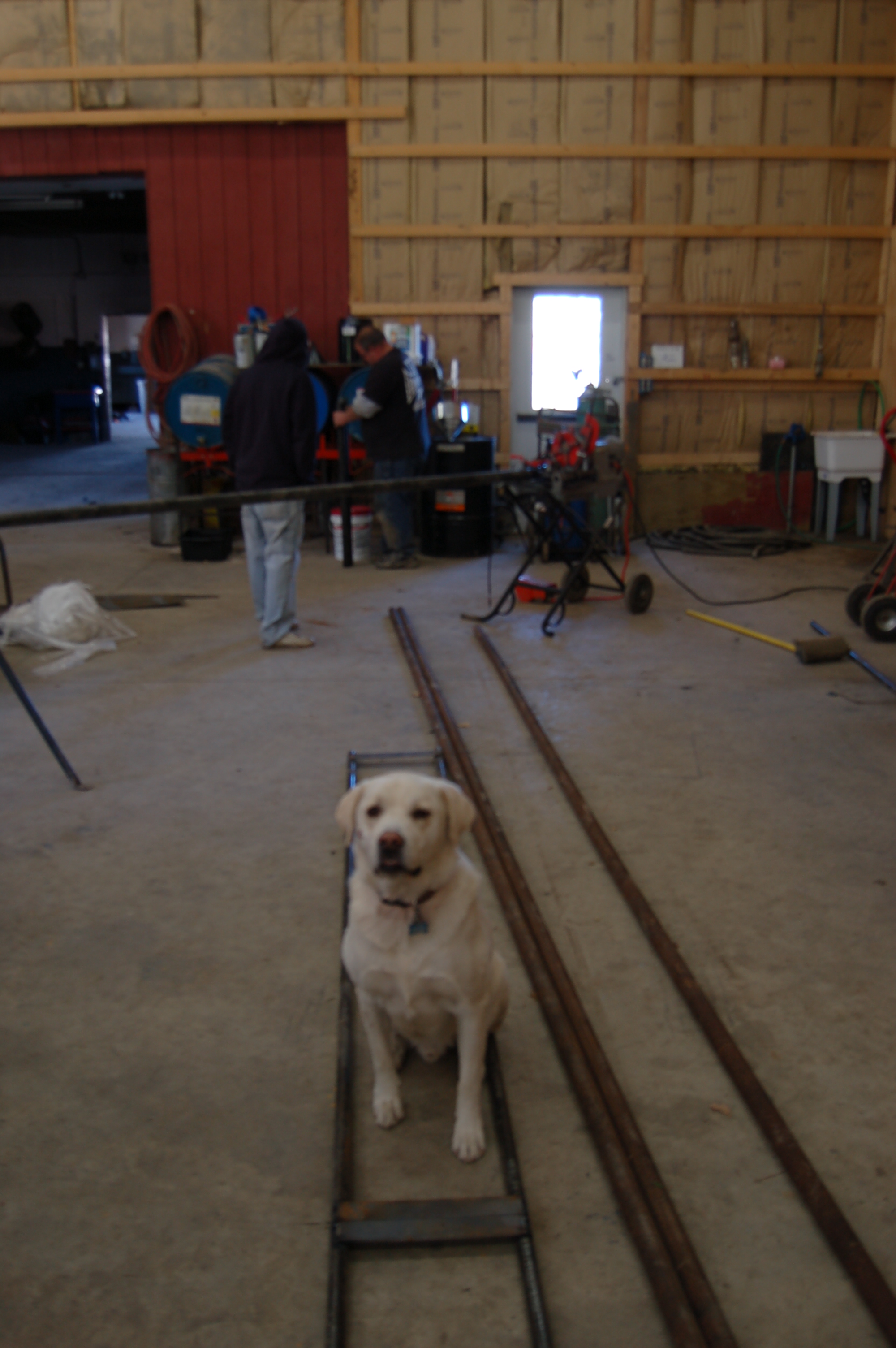 Toggenburgs new rails