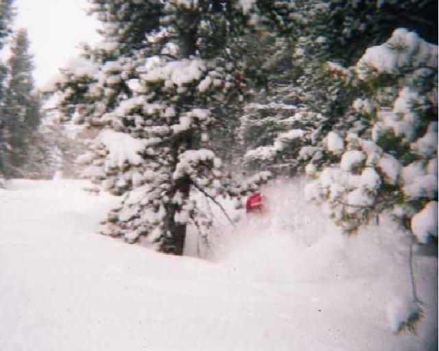 tons of powder