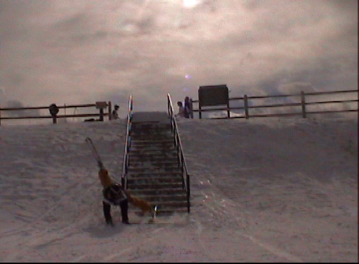 Tori falling off rail