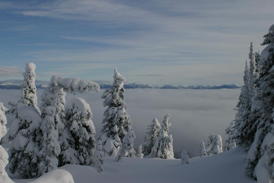 tourney schlong v lmp