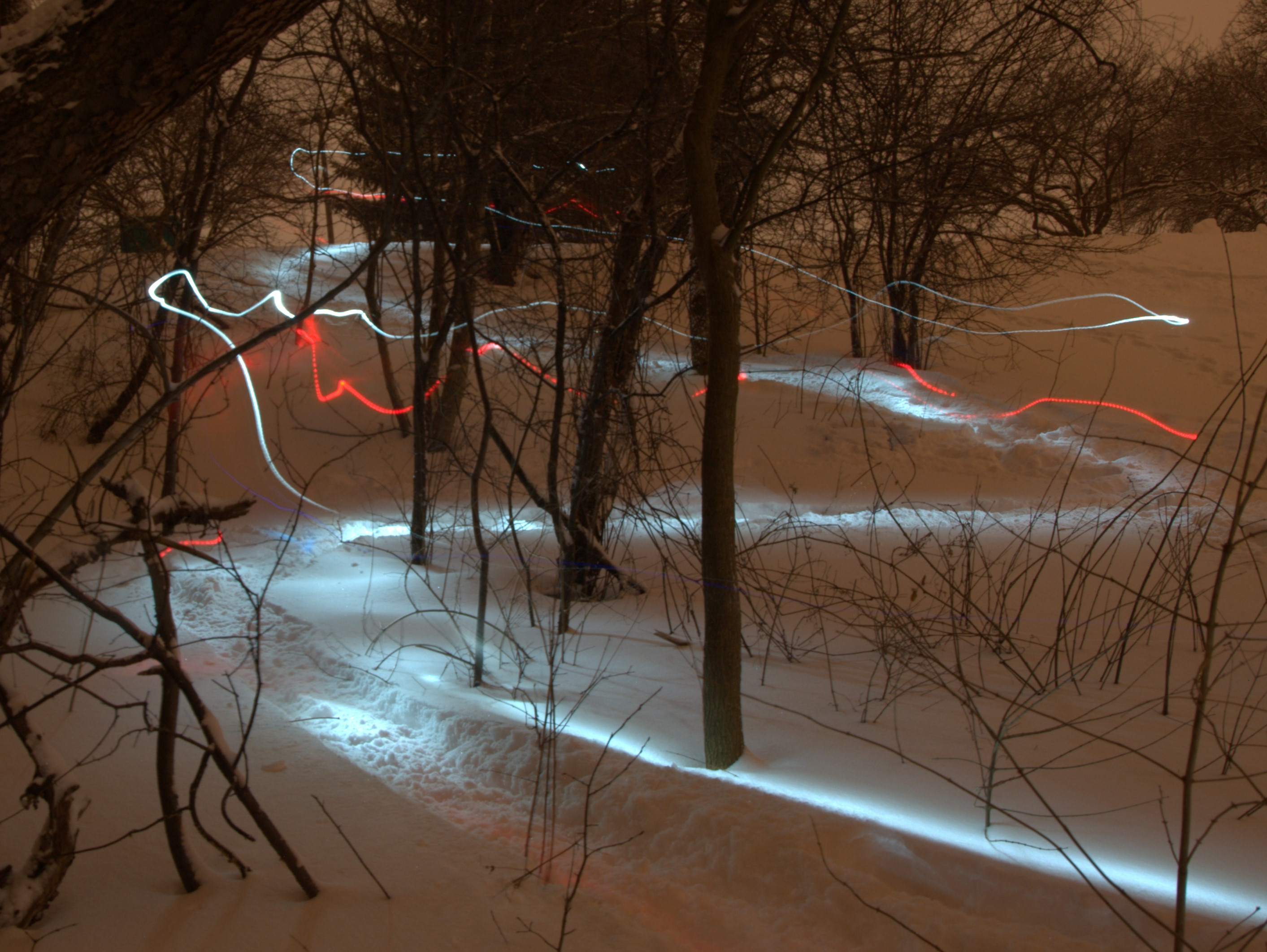 Trails of Light 1