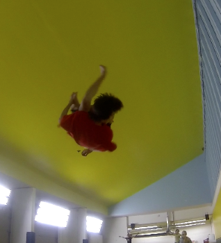 Tramp season has begun