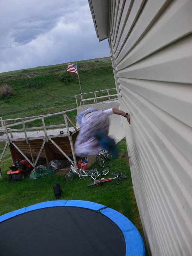 Trampoline to House stall