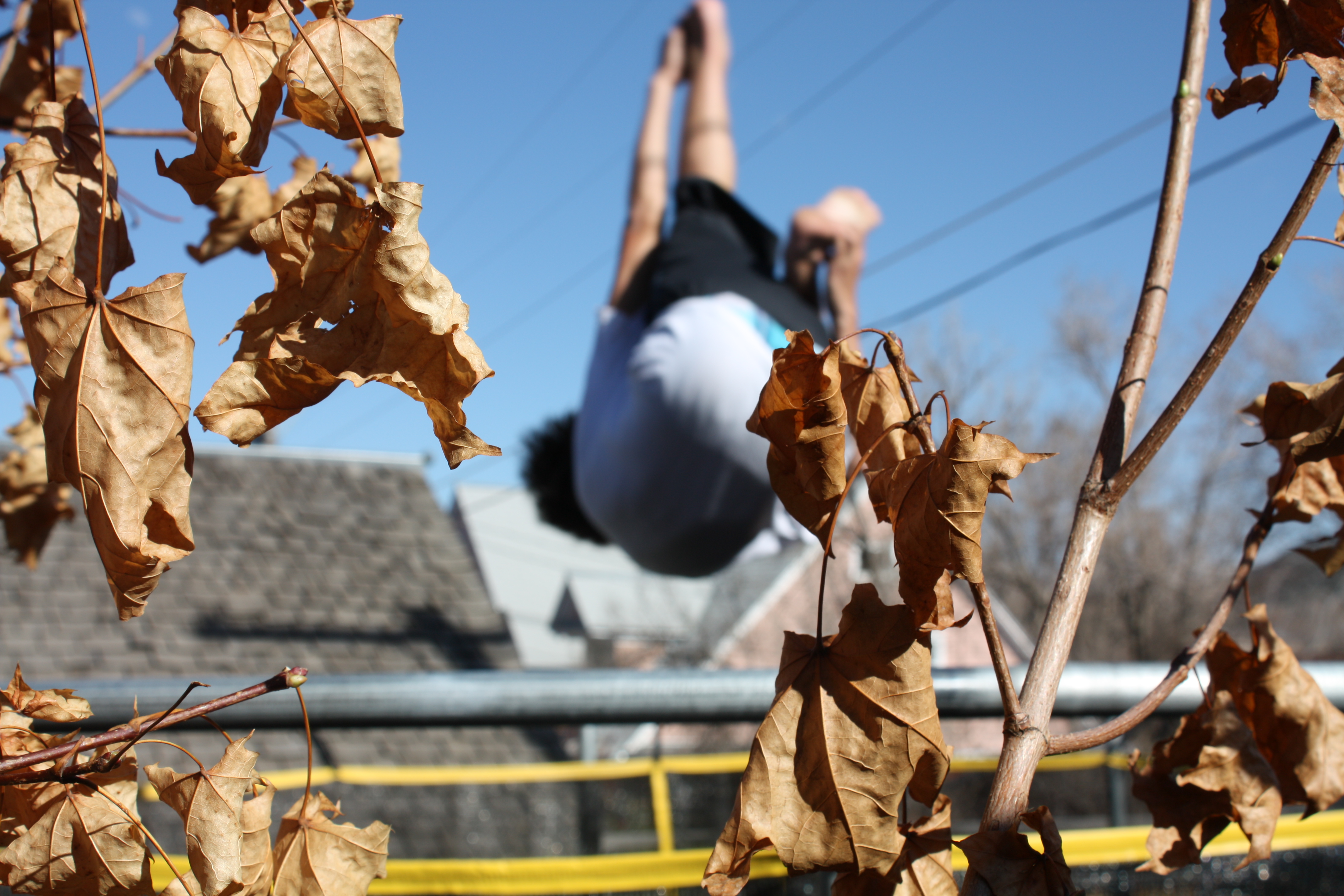 Trampoline