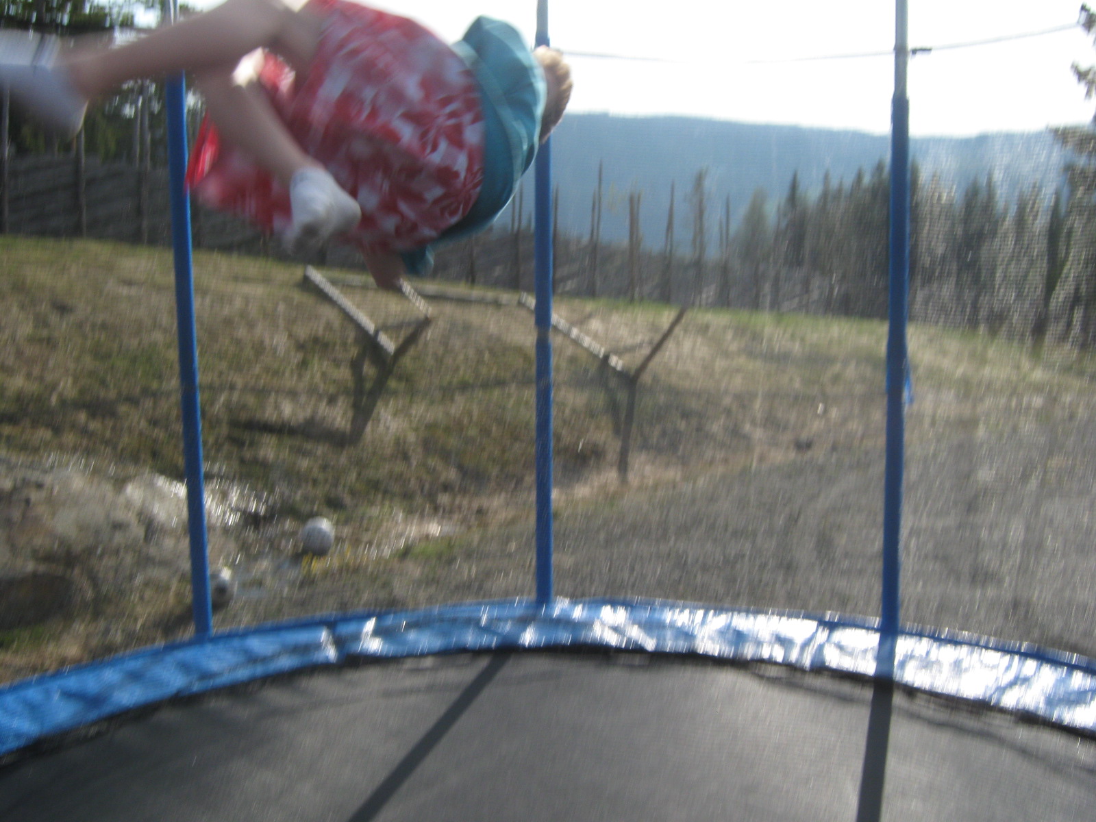 Trampoline