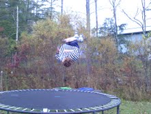 Trampoline