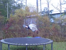 Trampoline3