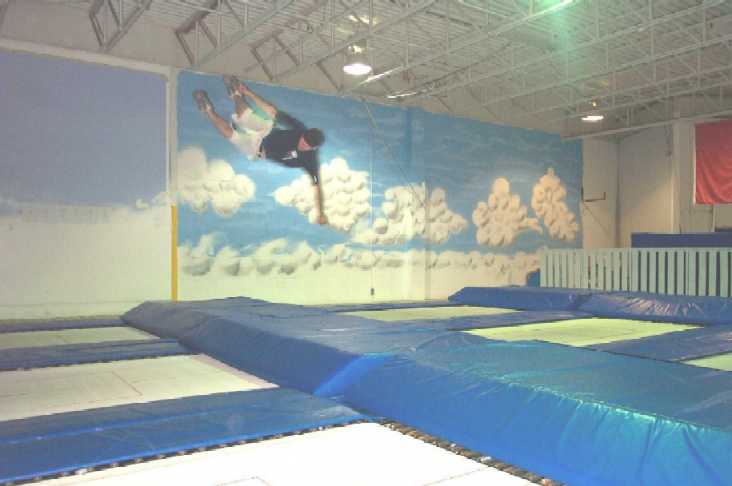Transfer - Airborne Trampoline