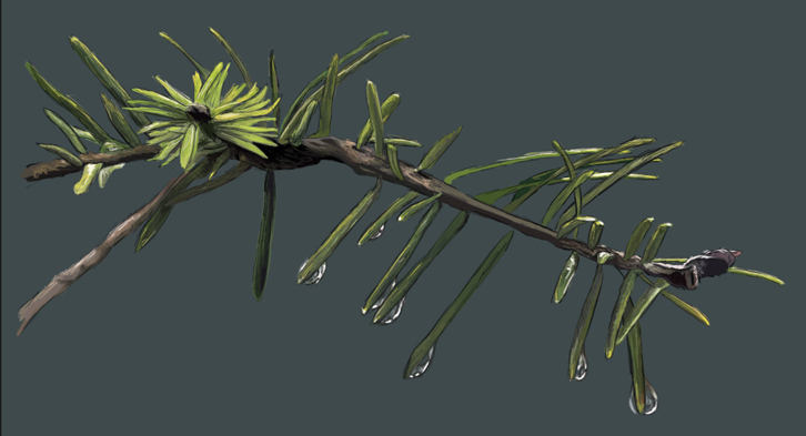 tree branch omg omg omg