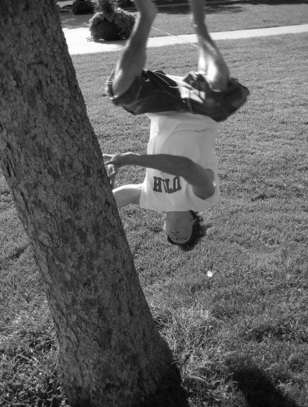 Tree Flip