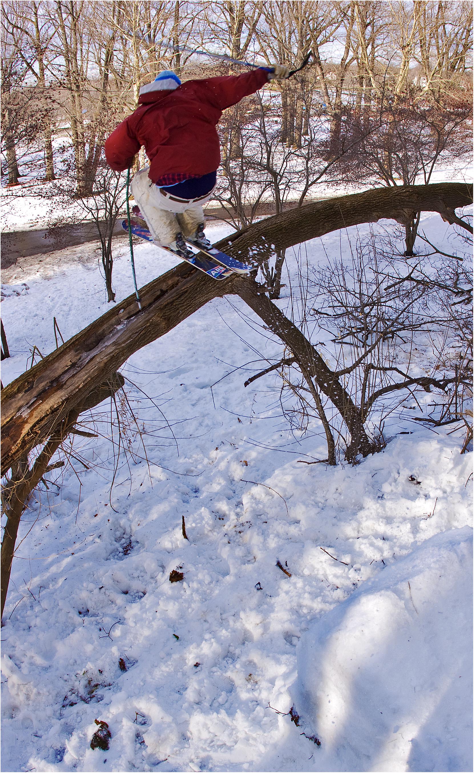 Tree Gap