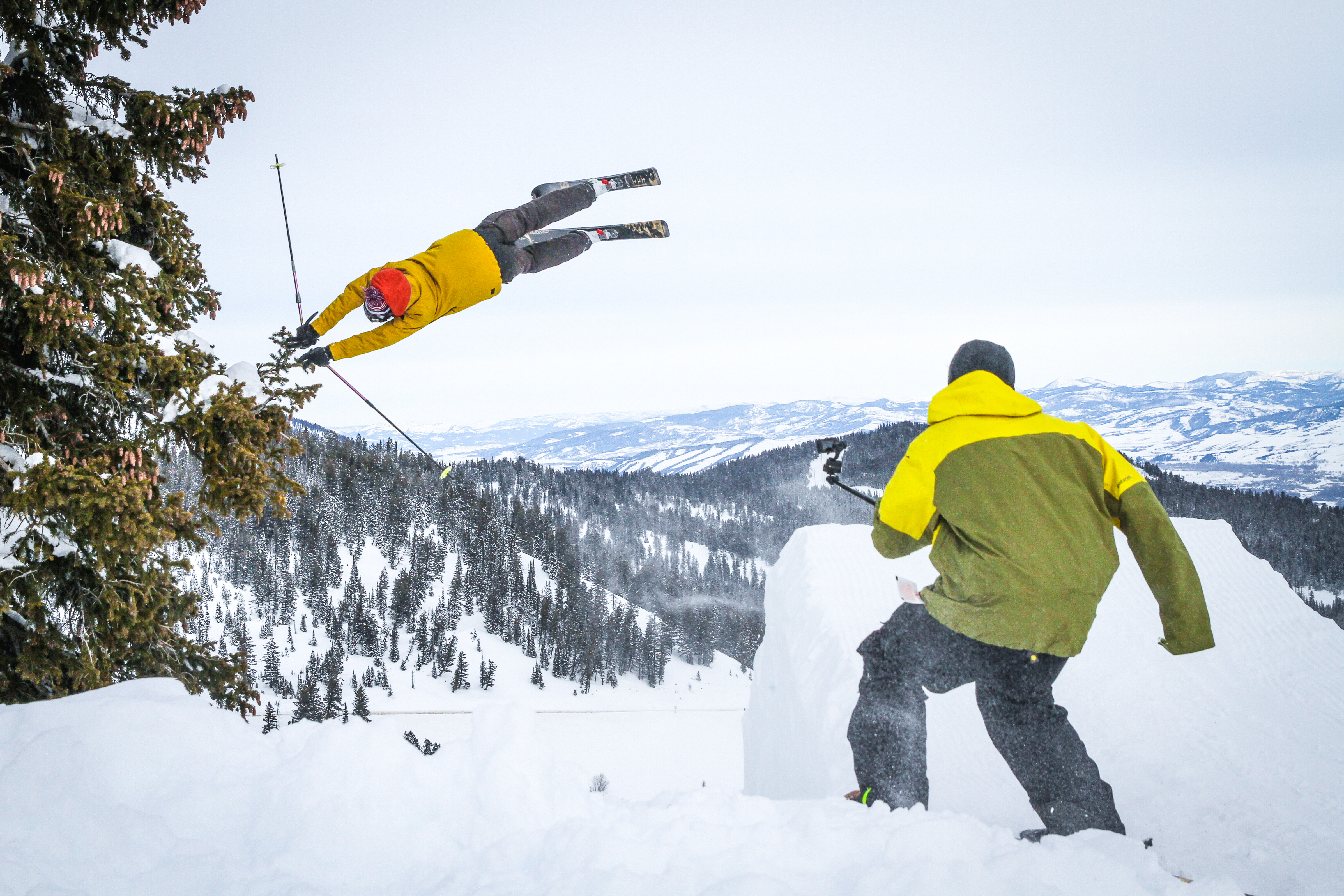 Tree Grab in Wyoming