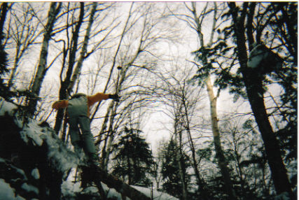 Tree grinding thingy