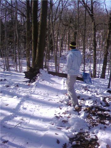 Tree jib in the woods