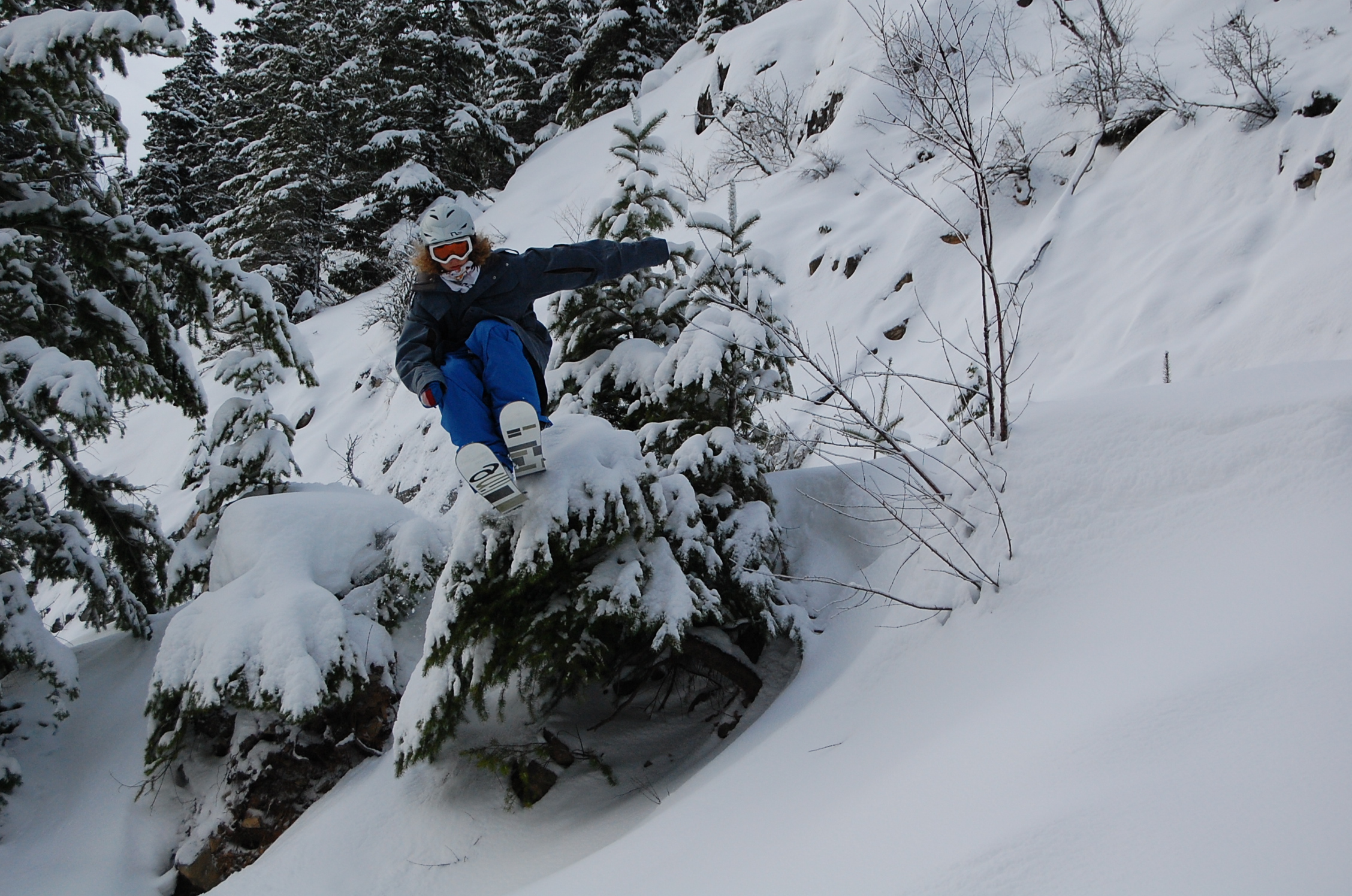 Tree jib next to the highway
