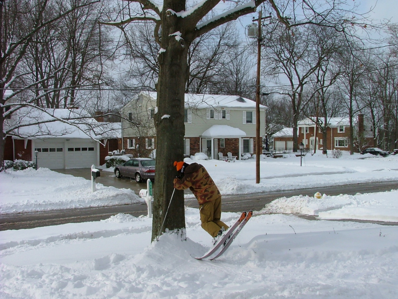 Tree Jib