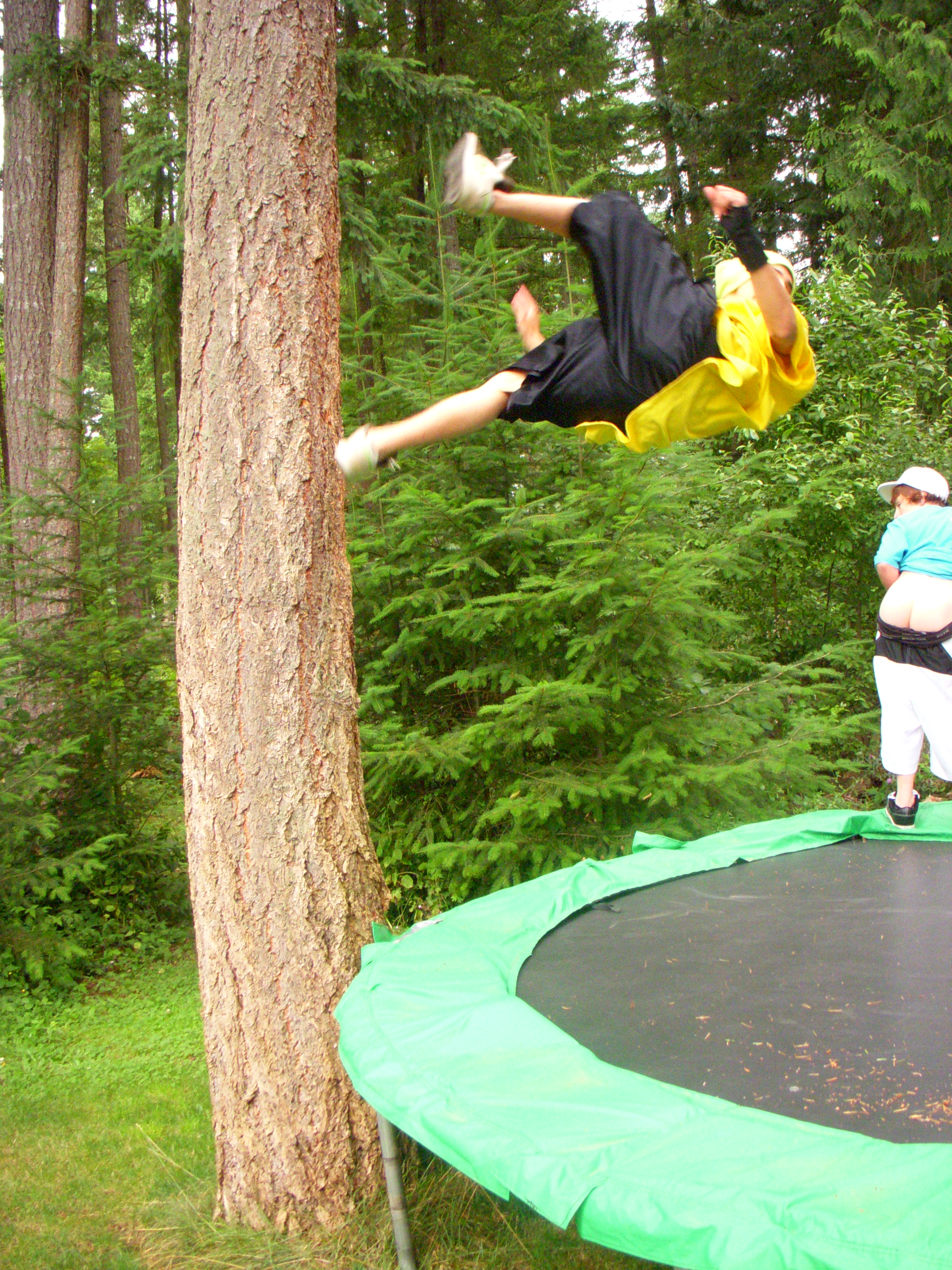 Tree Jib