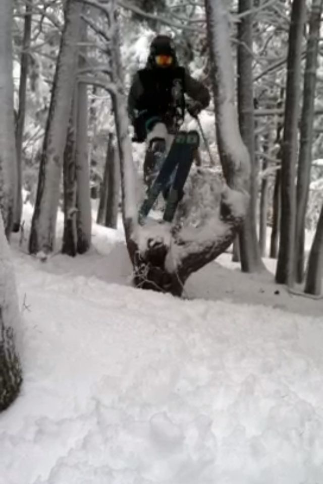 tree jump