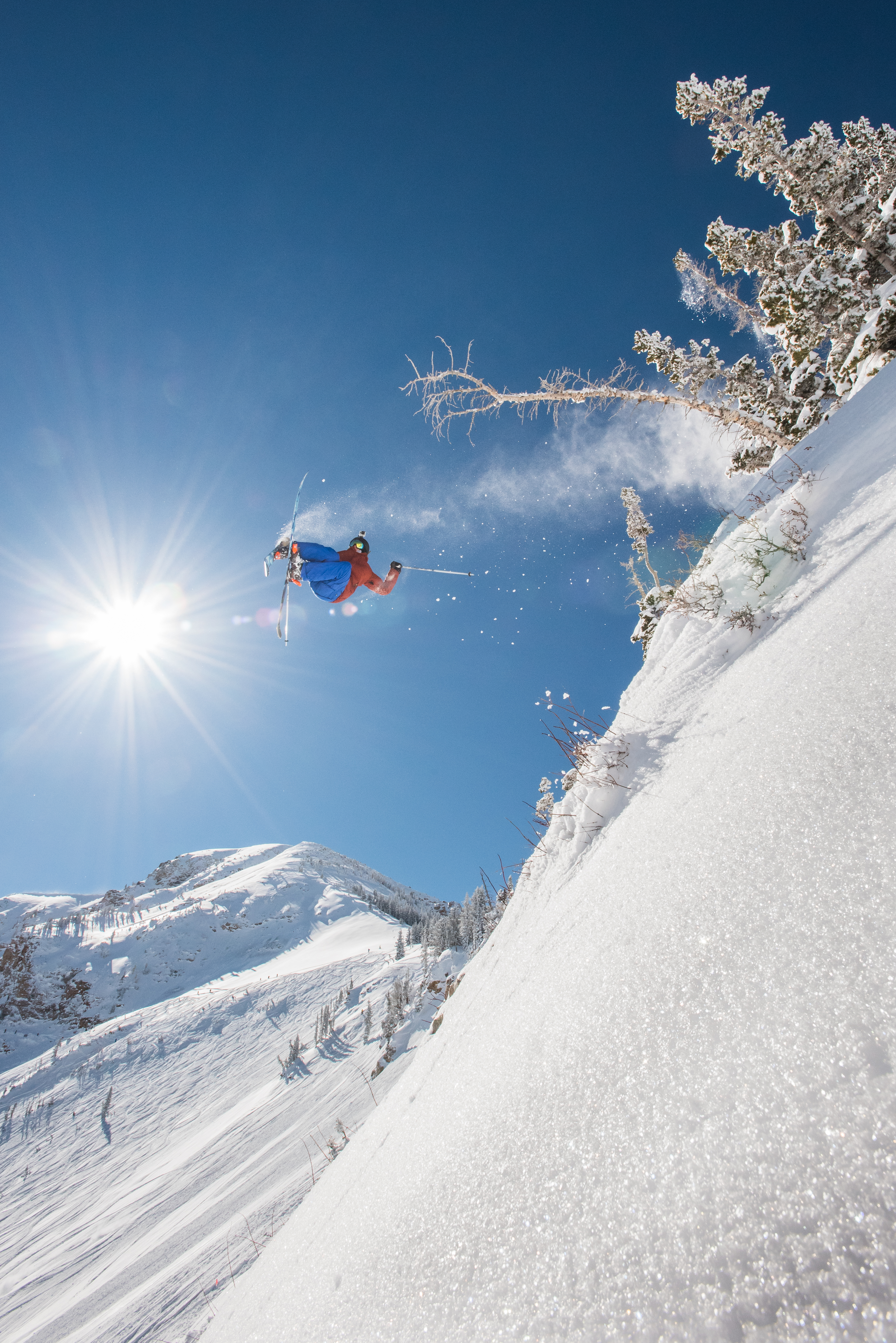 Tree Jump