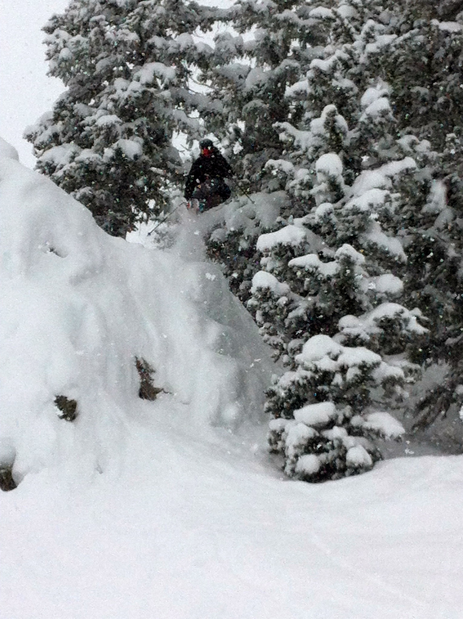 Tree jumpin