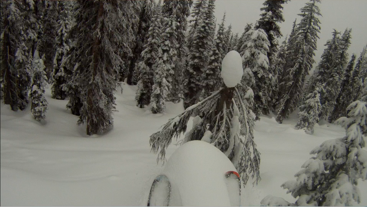Tree Launching